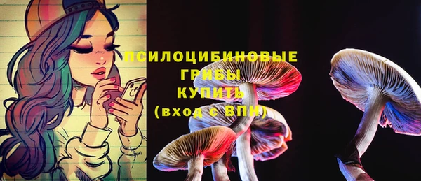 спиды Лиски