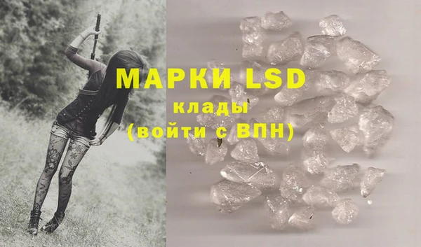 ГАЛЛЮЦИНОГЕННЫЕ ГРИБЫ Лихославль
