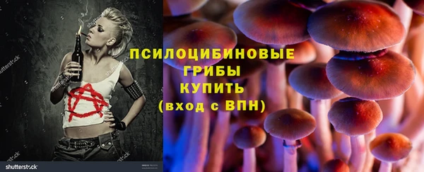 сатива Липки